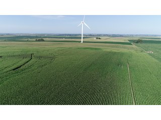 Bureau County, Illinois farmland - LAND AND WIND RIGHTS AUCTION - 337+/- ACRES IN 4 TRACTS IN BUREAU COUNTY, ILLINOIS